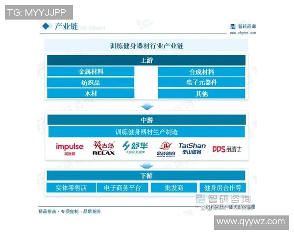 健身器材批发市场分析与发展趋势探讨助力健身行业蓬勃发展